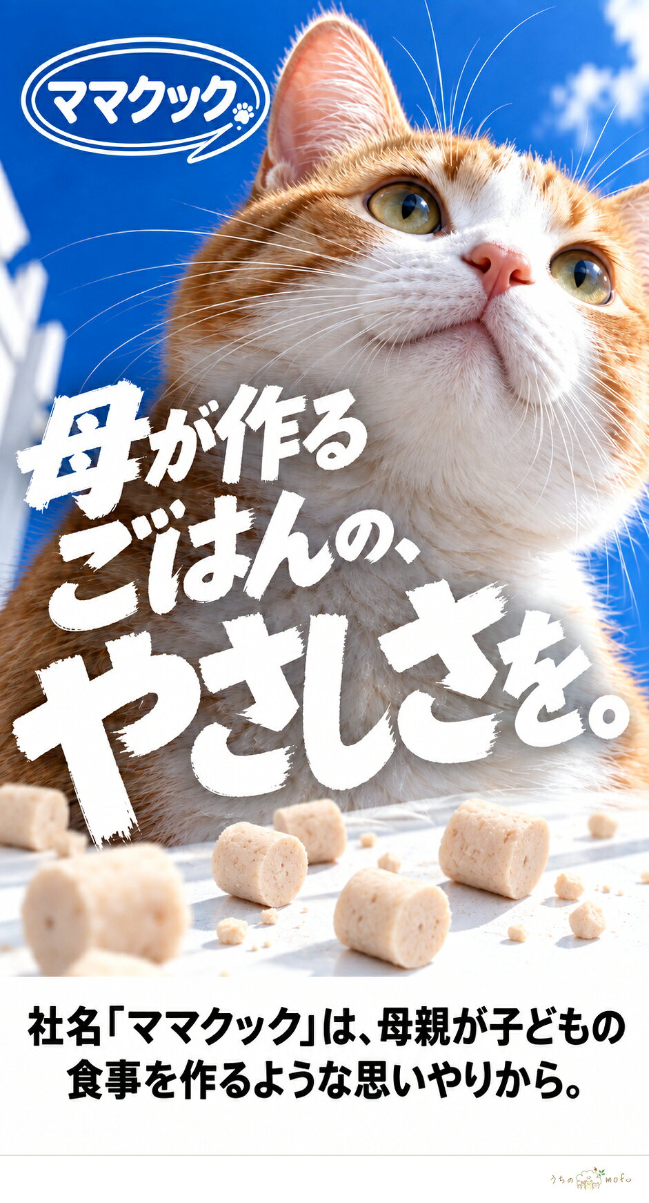 ママクック フリーズドライ 猫用 ササミ粒 18g 3個〜60個 セット 国産 着色料・保存料不使用 DFD製法 猫 おやつ トッピング ふりかけにも キャットフード 送料込み uchinomofu-10000011 ペットショップ うちのmofu サンプル画像2