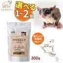 マルカン casa フクロモモンガのレシピ 300g 単品 フクロモモンガ モモンガ モモンガのフード 高タンパク低脂肪 食べやすい小粒タイプ