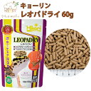 キョーリン レオパドライ 60g 200g ヒョウモントカゲモドキ フード 餌 ドライ 高タンパク 人工飼料 ひかりクレスト