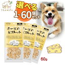 ママクック 犬 犬用 いぬ おやつ チーズのビスケット 60g 犬のおやつ 犬おやつ 犬オヤツ 国産 無添加 ペット 愛犬 犬餌 + うちのmofuポケットティ...