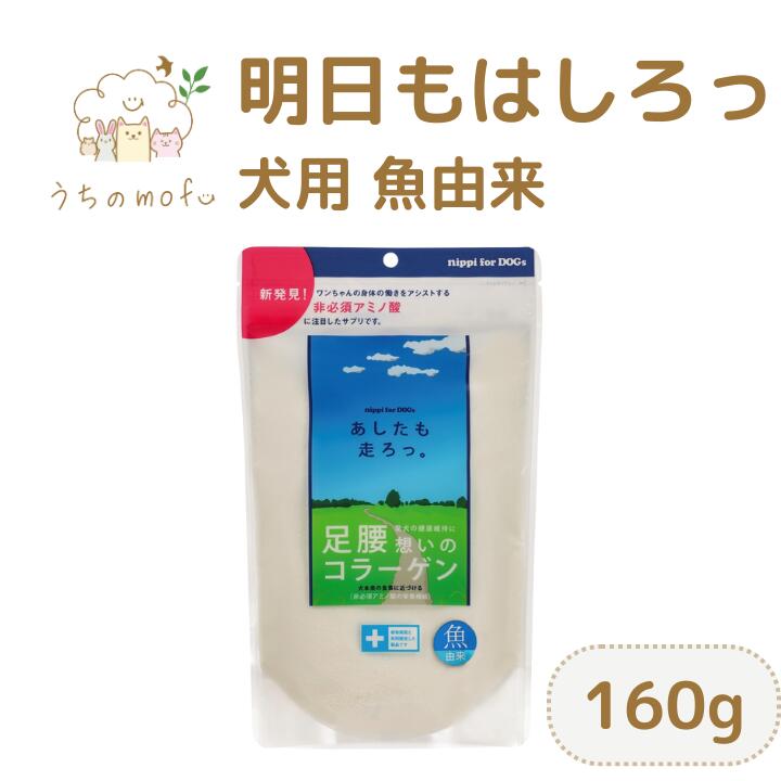 ニッピあしたも走ろっ送料無料想いの...