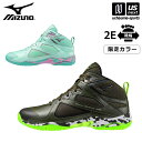 ミズノ 【 MIZUNO 】 フィットネスシューズ ウエーブダイバース LG5 Ltd 2025〜26年秋冬限定モデル 【 31GF2575 リミテッド ウェー...