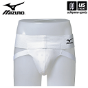 ミズノ【MIZUNO/KARATE】空手 カップ式サポーター 2024年継続モデル【23JHA68201 空手用品 空手道 サポーター】【翌日配達対象】【メール...