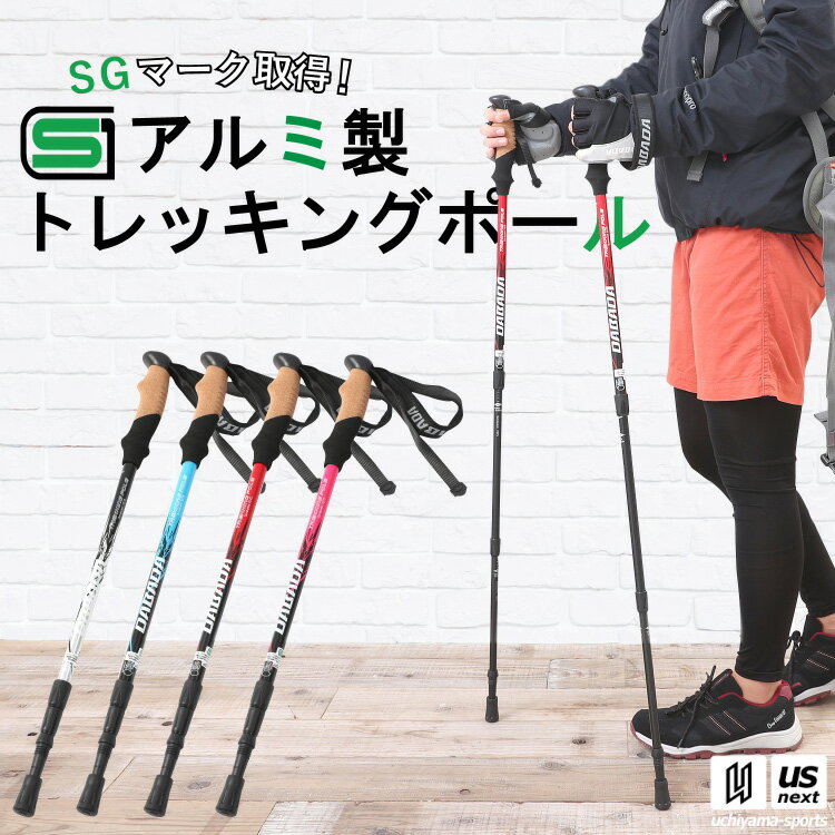 （送料無料） ダバダ 【 DABADA 】 アルミ製 トレッキングポール 【 a-pole トレッキング ポール ストック トレッキングステッキ 山 登山 アウトドア 】【あす楽対応】【メール便不可】 自社