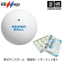 ナガセケンコー【NAGASE KENKO】ソフトテニスボール スタンダード・ホワイト（TSSW-V） 2024年継続モデル【練習球 1…