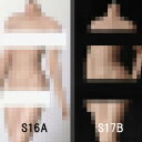 【TBLeague】female super flexible seamless body PLMB2016-S16A S17B TBリーグ 1/6スケール シームレス女性ボディ アジア(ヘッドなし)素体 デッサン人形