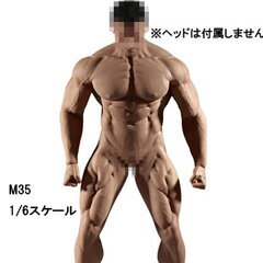 【TBLeague】PL2018-M35 male super flexible seamless body with metal skeleton TBリーグ 1/6スケール シームレス男性ボディ（ヘッドなし）素体 デッサン人形