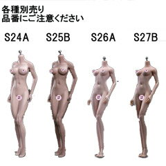 【TBLeague】Female Seamless Bodies S24A S25B S26A S27B TBリーグ 1/6スケール シームレス女性ボディ（ヘッドなし）素体 デッサン人形