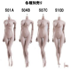 【TBLeague】female seamless body PALE series not head S01A S04B S07C S10D TBリーグ 1/6スケール シームレス女性ボディ ペール ヘッドなし 素体 デッサン人形