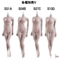  TBLeague female seamless body PALE series not head S01A S04B S07C S10D TB[O 1 6XP[ V[X{fB y[ wbhȂ f fbTl`
