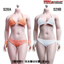 【TBLeague】Female Super Flexible Seamless Bodies PHMB2019-S28A pale S29B suntan TBリーグ 1/6スケール シームレス女性ボディ ヘッドなし 素体 デッサン人形