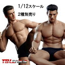 【TBLeague】1/12scale Super Flexible Male Seamless Body PH2019-TM01A TM02A TBリーグ 1/12スケール シームレス男性ボディ （ヘッドつき）素体 デッサン人形