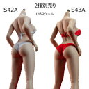 【TBLeague】Female Super Flexible Seamless Bodies PLLB2020-S42A (pale) S43A (suntan) TBリーグ 1/6スケール シームレス女性ボディ （ヘッドなし）素体 デッサン人形