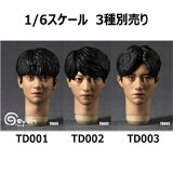 Seven Toys1/6 ST-TD001/002/003 Asian male headsculpt(With Movable Eyes) ˻ ư 1/6 إå