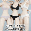 【SA Toys】SA050 1/12 Sports Underwear スポーティ アンダーウェア 下着 1/12スケール 女性ドール用コスチューム