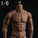 【WorldBox】AT044 1/6 Durable Body 1/6スケール 男性ボディ素体 デッサン人形