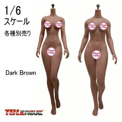 Female Super Flexible Seamless Bodies Dark Brown TBリーグ 1/6スケール シームレス女性ボディ デッサン人形 （ヘッドなし）