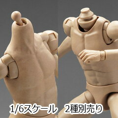 楽天市場】アクションフィギュア 素体(ホビー)の通販 楽天市場】アクションフィギュア 素体(ホビー)の通販