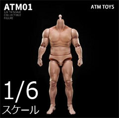 楽天市場】1/6 男性 素体の通販 楽天市場】1/6 男性 素体の通販