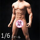 【OCTPLY】OM001 1/6 Fully Encapsulated Male Body (Realistic Muscle Body) Wheat 小麦肌 シームレス男性ボディ デッサン人形 1/6スケール男性ボディ素体