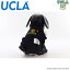 ̵ ưͭ UCLA(桼륨  ѡ ɥå UCLA-0403 å ᥫ