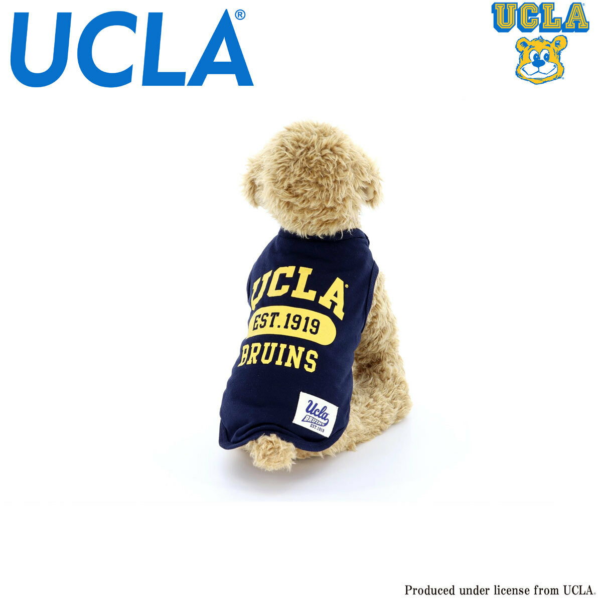 送料無料 動画有り UCLA(ユーシーエルエー） 犬服 Tシャツ ドッグウエア UCLA-0430 カレッジ アメカジ