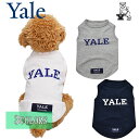 送料無料 YALE （イェール） 犬服 Tシャツ ドッグウエア YALE-051 カレッジ ロゴ キャラクター アメカジ