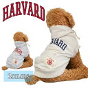  HARVARD (n[o[hj  p[J[ hbOEGA HVAD-054 JbW S AJW