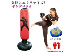 【ランキング入賞】サンドバッグ 自宅 スタンド 自立 パンチングバッグ ボクササイズ 運動 トレーニング 家トレ 宅トレ 室内運動 グローブ 大人 子供 おうち...