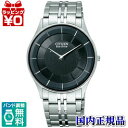 y10OFFN[|pŁzSE/AR3010-65E CITIZEN V`Y COLLECTION V`YRNV GREhCu rv Ki EHb` WATCH ̔  v[g tH[} uh