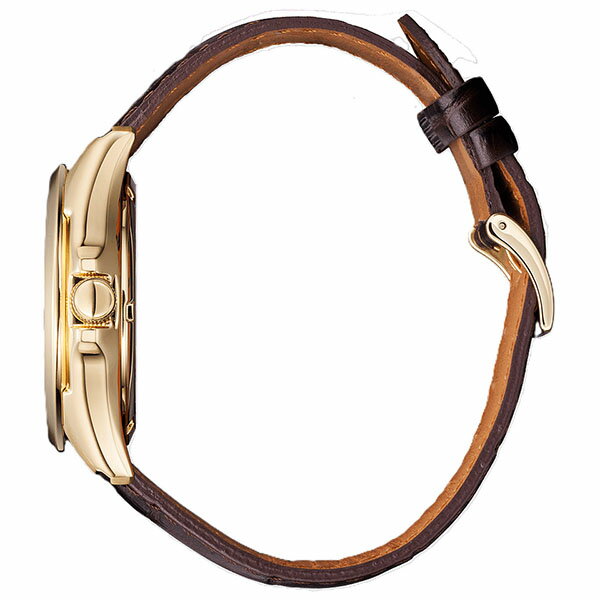 【10％OFFクーポン利用で】NP1013-02P CITIZEN COLLECTION シチズンコレクション 部分スケルトン　シースルーバック メンズ 腕時計 国内正規品 送料無料