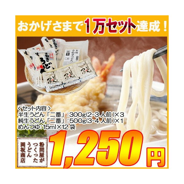 お中元 お歳暮 ギフト 讃岐うどん お取り寄せ 岡坂商店 半生＆純生うどん食べ比べセット 約12食（半生うどん＋純生うどん＋めんつゆ）