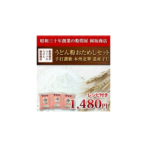 日清製粉 小麦粉 中力粉 こだわりの3銘柄 うどん粉 おためしセット(手打讃歌 本州北翠 道産子U 各1kg) レシピ付き