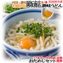 【送料無料 クーポンでお得】岡坂商店 本場 讃岐うどん「二番」(半生うどん)おためしセット約6-9食分(めんつゆ付) ※代金引換不可・日時指定不可