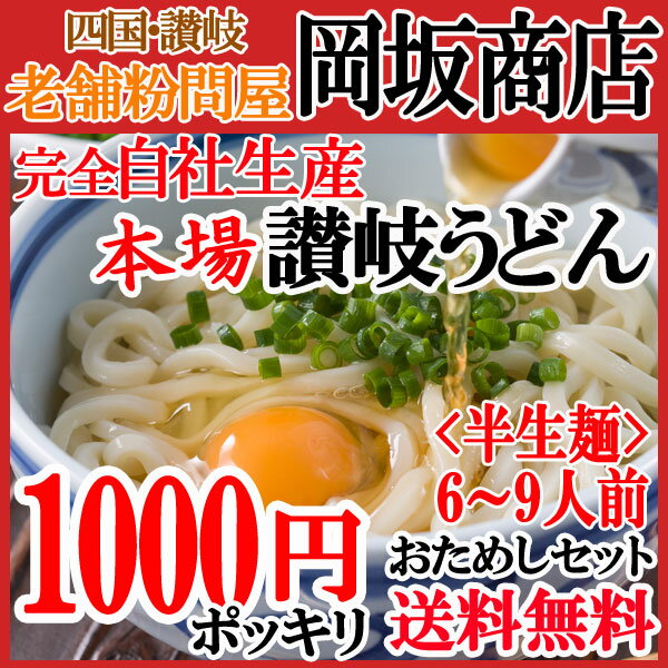 【送料無料 1000円 ポッキリ クーポンでお得】岡坂商店 本場 讃岐うどん「二番」(半生うどん)おためしセット約6-9食分（めんつゆ付）　※代金引換不可・日時指定不可