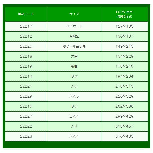 エイチエスブック＆カードホルダー（BCH）大A5 2