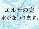 【即納】エルセの実★水筒に入れるだけ！10P05Nov16　送料無料で定形外郵便