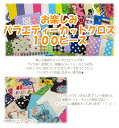 ★お楽しみ★ バラエティーカットクロス100ピース【 生地 布 はぎれセット ハギレセット 福袋 くるみボタン 豆本 リボン 髪飾り パッチワークの練習 などにぴったりのはぎれ100枚セットです! ハギレ/はぎれ/生地 】