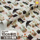 【クーポン使用で最大6%OFF 5/23 20時〜】 USAコットン 黒猫 いたずら 赤いお花 植木鉢 シーチング 生地 布【 メール便は 300cm(個数30...