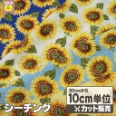 【6/3 20時〜 20%OFF】 生地 布 ひまわり シーチング コットンプリント 【 メール便は 300cm(個数30)まで 対応可能 10cm単位カット ...