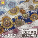 【6/3 20時〜 20%OFF】 生地 布 アート風 ひまわり シーチング コットンプリント 【 メール便は 300cm(個数30)まで 対応可能 10cm単...