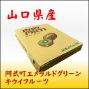 山口産キウイフルーツ　30玉サイズ