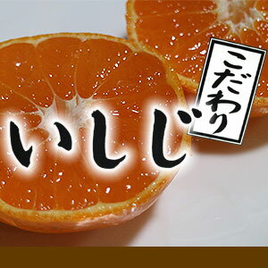 広島産 匠が育てた『こだわり』のいしじみかん5kMサイズ