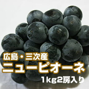 広島・三次産　ニューピオーネ　1kg（2房入り）露地栽培