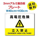 P5{􍂓d댯 / ֎~Ŕ W40~H30cm zdW Đ\GlM[̌Œ艿i搧xiFITjΉ High-voltage