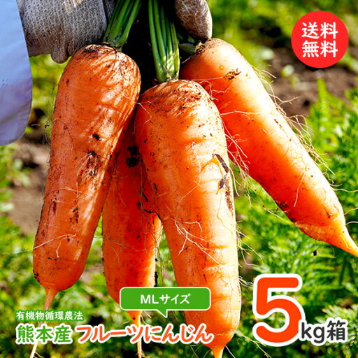 フルーツニンジン5kg箱入り(MLサイズ)ご予約承り中 フルーツニンジン5kg箱入り(MLサイズ)ご予約承り中