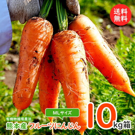 にんじん フルーツ人参10kg箱入りMLサイズご予約承り中 にんじん フルーツ人参10kg箱入りMLサイズご予約承り中