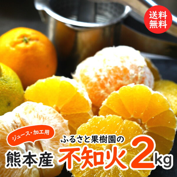 不知火｜熊本・ふるさ