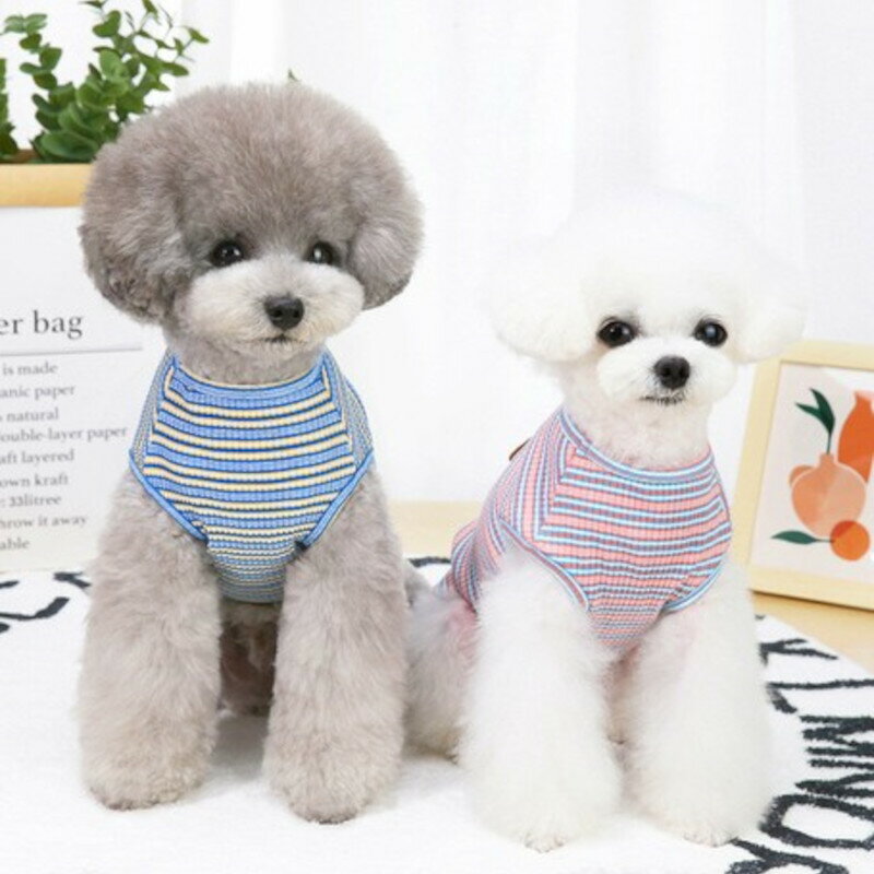 犬服 犬 服 タンクトップ 最安価格 袖なし ドッグウェア 春 夏 Ss 可愛い 超小型犬 女の子 男の子 夏服 小型犬 犬用品 犬の服 Twinkle お出かけ おしゃれ ギフト 春服 送料無料 プレゼント かわいい 中型犬