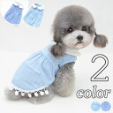 犬 服 ワンピース 【サイズ交換OK】 シンプル 超小型犬 SS 小型犬 可愛い 春 夏 中型犬 女の子 ドッグウェア かわいい 犬の服 プレゼント おしゃれ ...